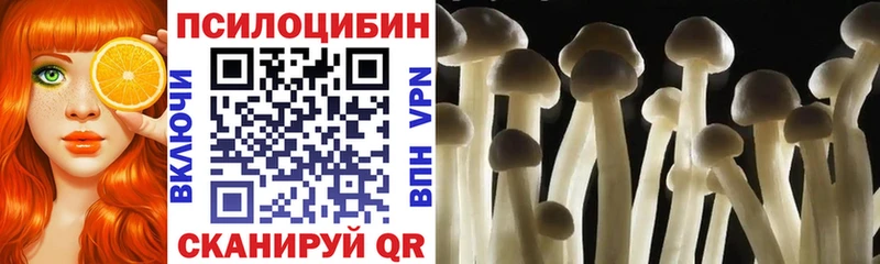 Псилоцибиновые грибы GOLDEN TEACHER  где найти наркотики  Лянтор 